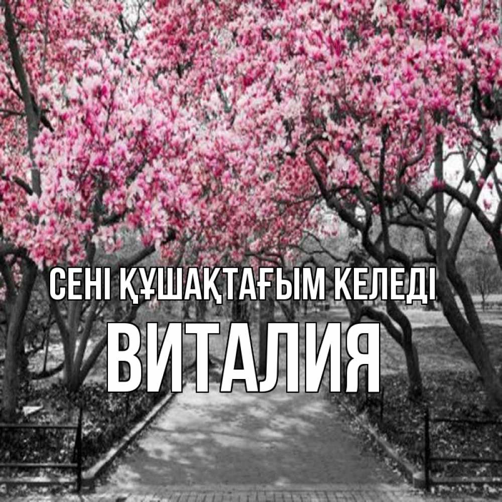 Күн сайын ашық хат с именем, Виталия сені құшақтағым келеді обработанное фото Онлайн тегін жүктеп алу тілектері бар керемет карта 