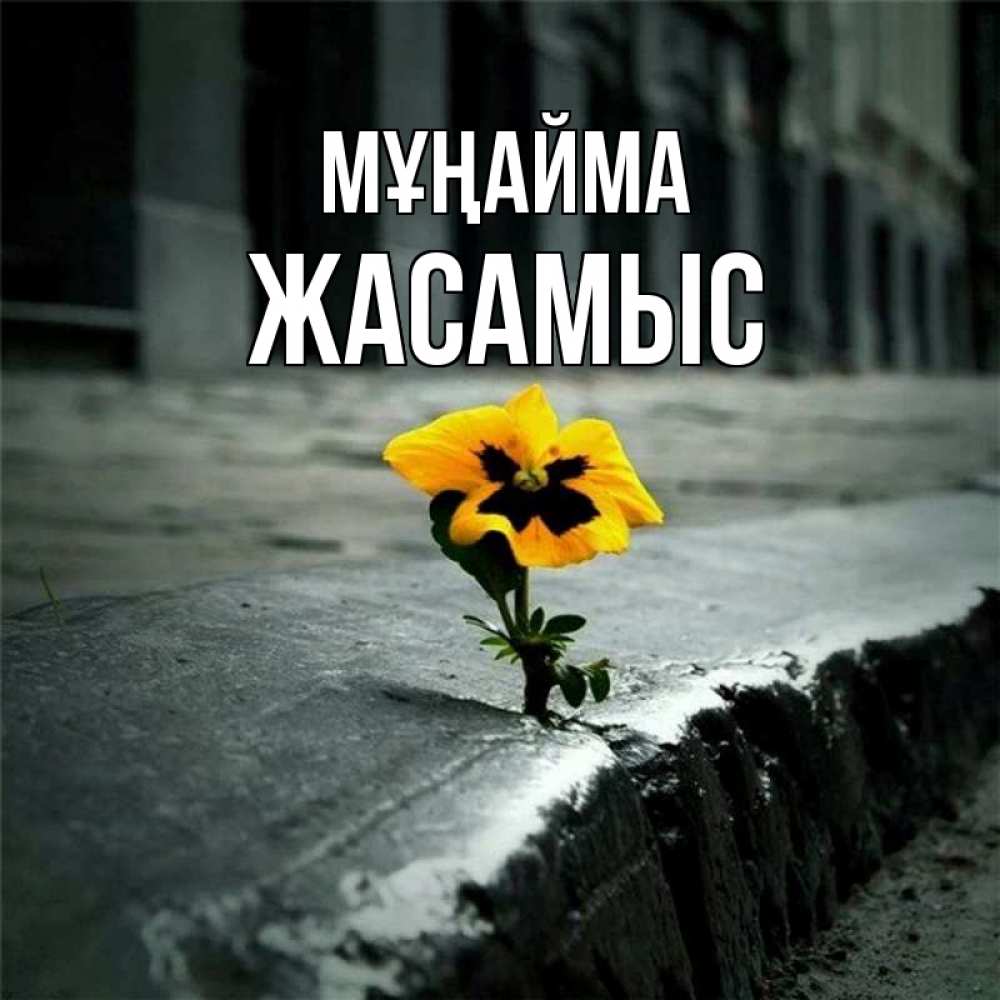 Күн сайын ашық хат с именем, Жасамыс Мұңайма не сдавайся Онлайн тегін жүктеп алу тілектері бар керемет карта 