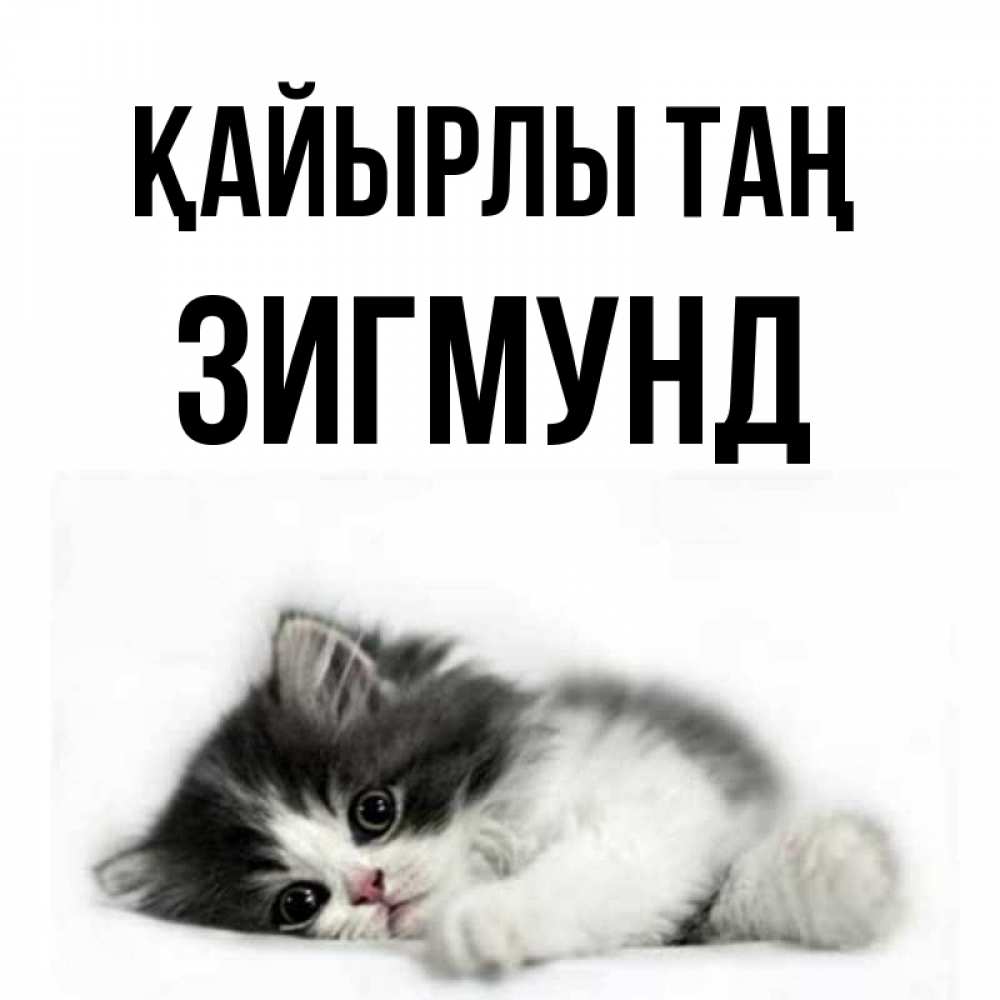 Күн сайын ашық хат с именем, Зигмунд Қайырлы таң кот лапки Онлайн тегін жүктеп алу тілектері бар керемет карта 