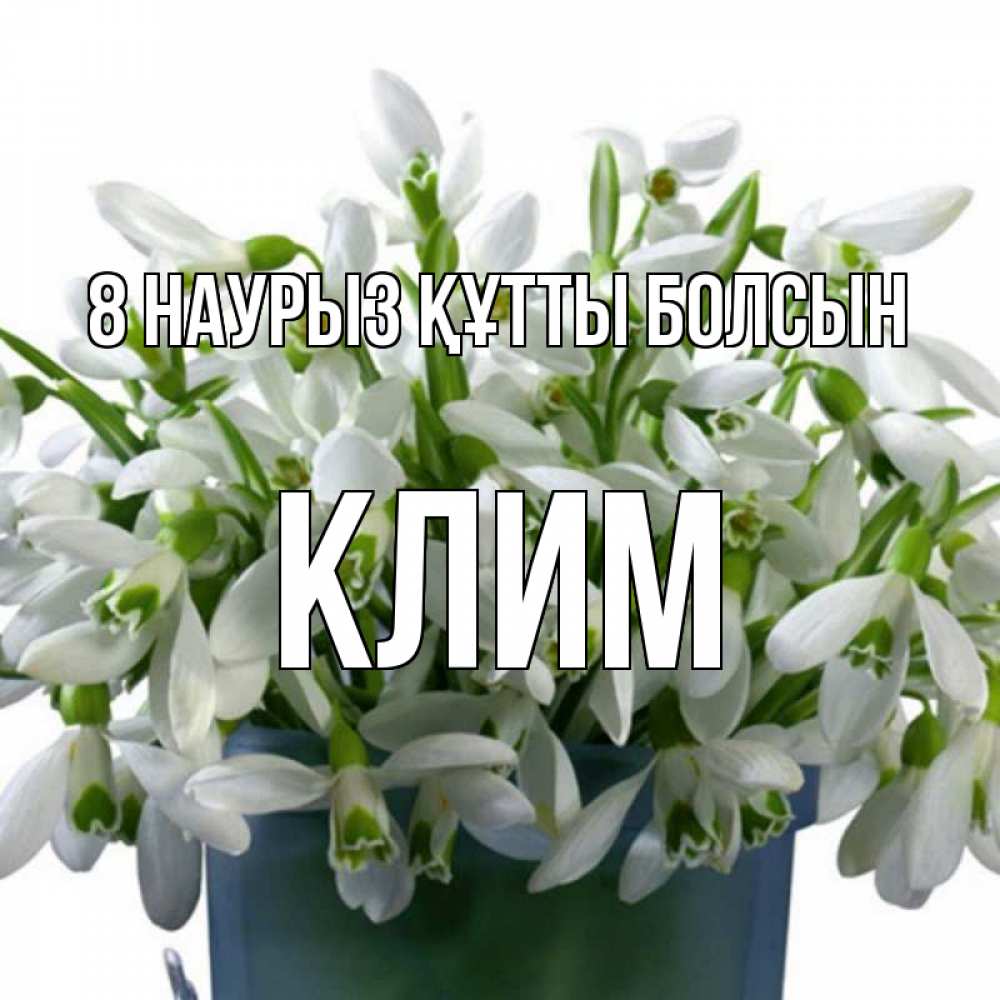 Күн сайын ашық хат с именем, Клим 8 наурыз құтты болсын цветы к международному женскому дню Онлайн тегін жүктеп алу тілектері бар керемет карта 