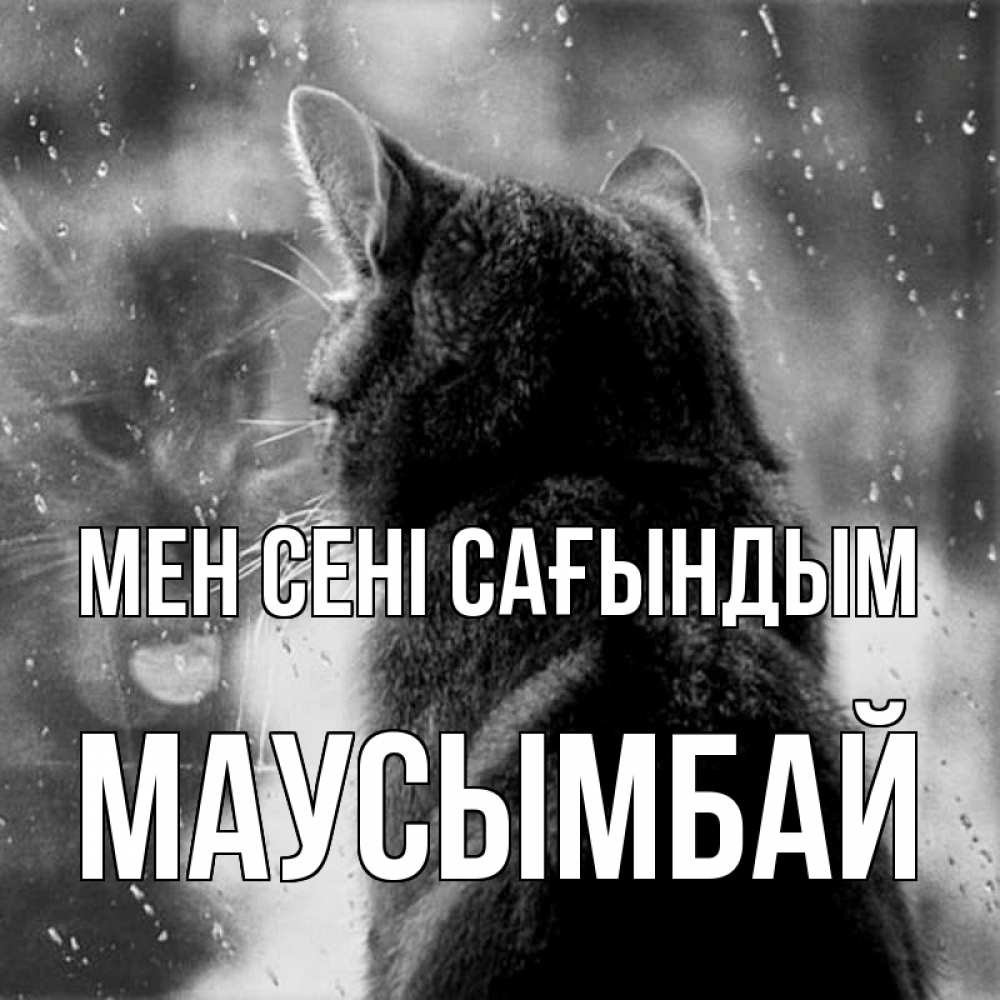 Күн сайын ашық хат с именем, МАУСЫМБАЙ Мен сені сағындым скорее ко мне приходи 1 Онлайн тегін жүктеп алу тілектері бар керемет карта 
