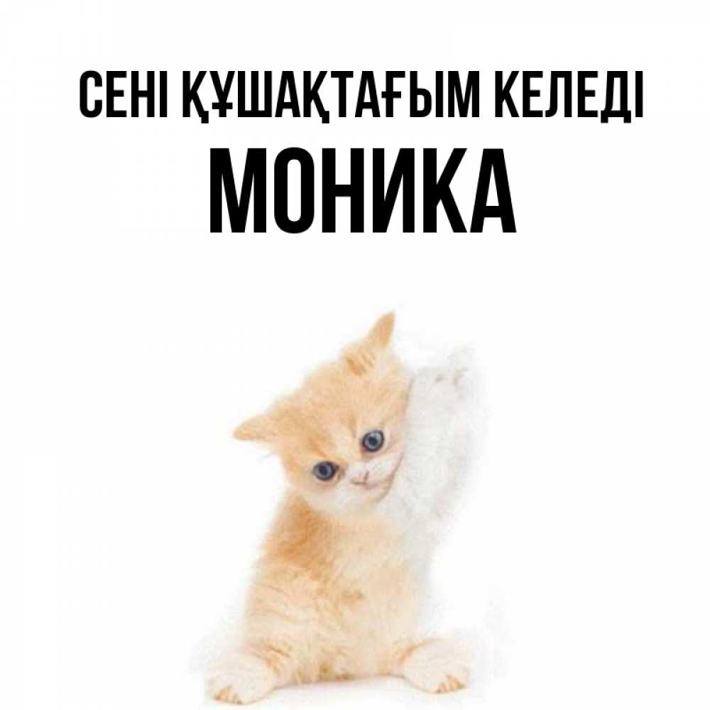 Күн сайын ашық хат с именем, Моника сені құшақтағым келеді я хочу очень скорее обнимаешек Онлайн тегін жүктеп алу тілектері бар керемет карта 