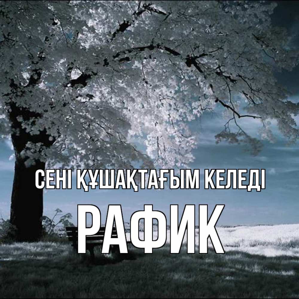 Күн сайын ашық хат с именем, РАФИК сені құшақтағым келеді дерево Онлайн тегін жүктеп алу тілектері бар керемет карта 
