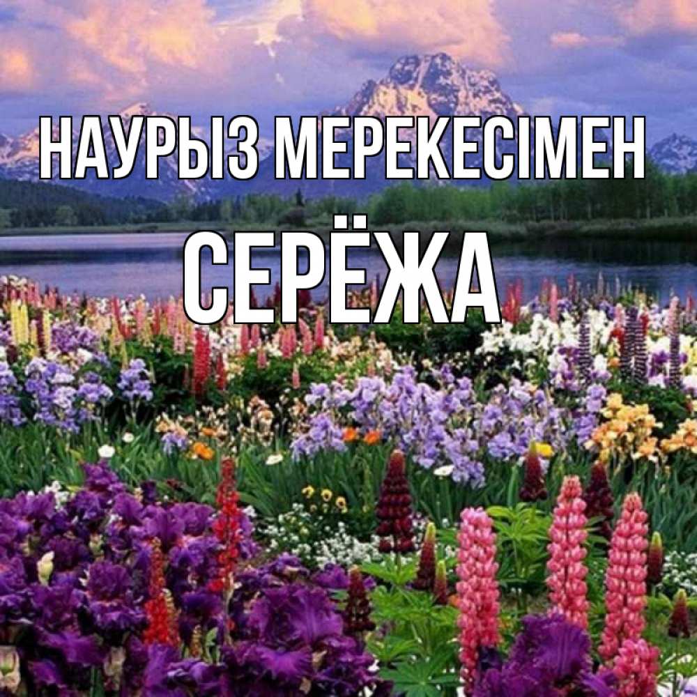 Күн сайын ашық хат с именем, Серёжа Наурыз мерекесімен праздник весны наурыз Онлайн тегін жүктеп алу тілектері бар керемет карта 