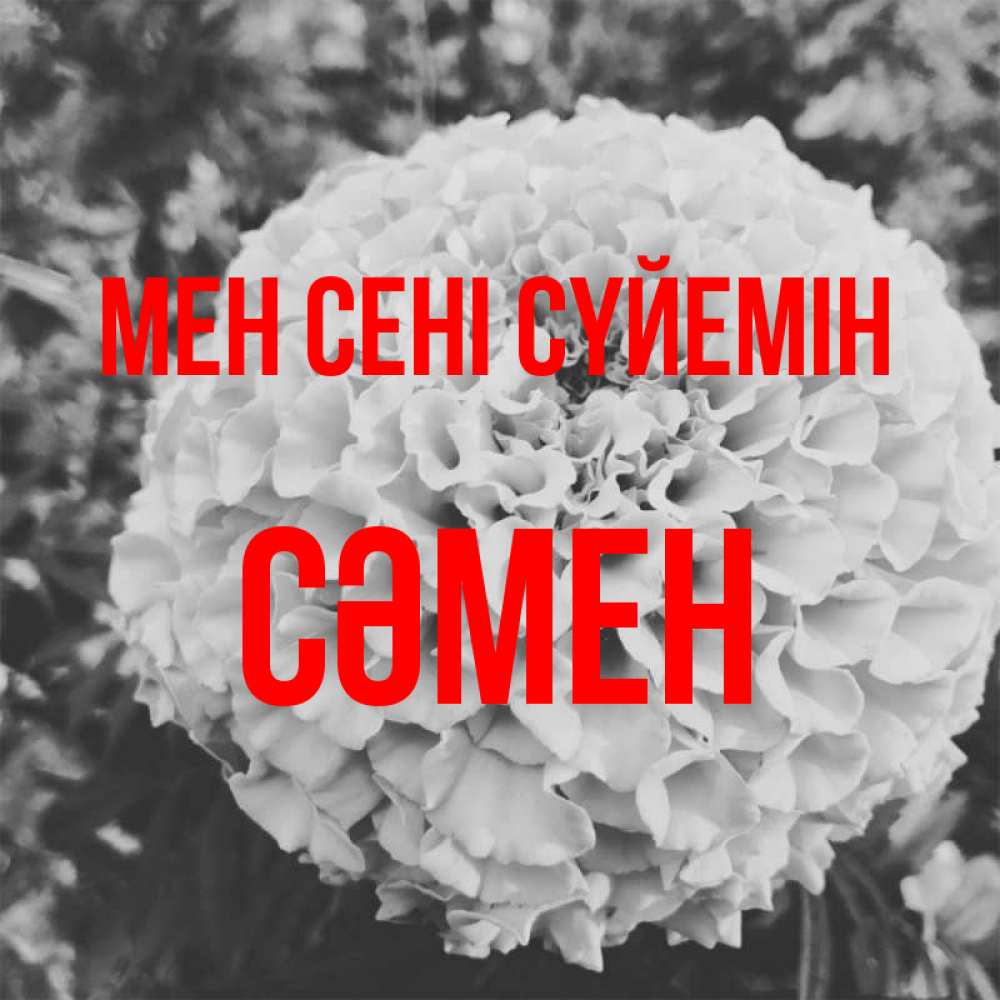 Күн сайын ашық хат с именем, СӘМЕН Мен сені сүйемін подпись Онлайн тегін жүктеп алу тілектері бар керемет карта 