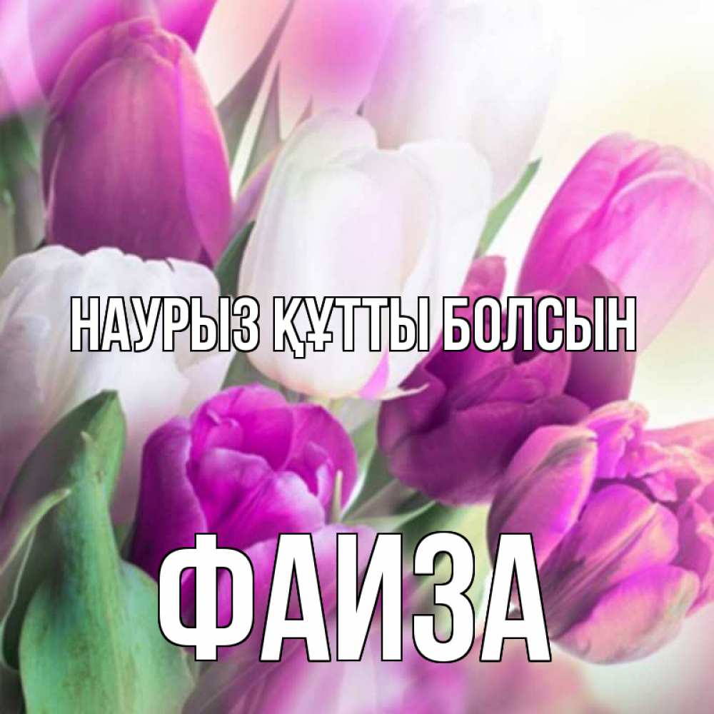 Күн сайын ашық хат с именем, Фаиза Наурыз құтты болсын весна 1 Онлайн тегін жүктеп алу тілектері бар керемет карта 