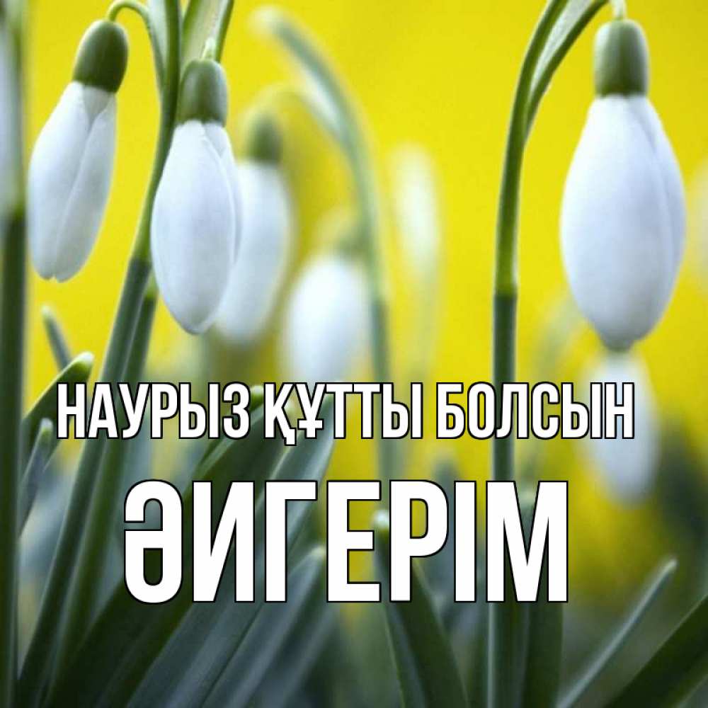 Күн сайын ашық хат с именем, ӘИГЕРІМ Наурыз құтты болсын весенние цветы Онлайн тегін жүктеп алу тілектері бар керемет карта 