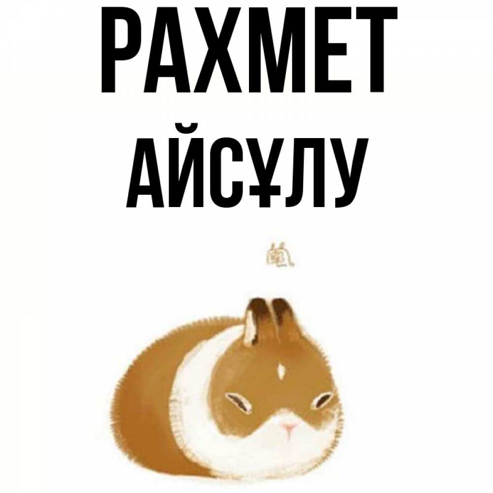 Күн сайын ашық хат с именем, АЙСҰЛУ рахмет коричнево белый домашний питомец Онлайн тегін жүктеп алу тілектері бар керемет карта 
