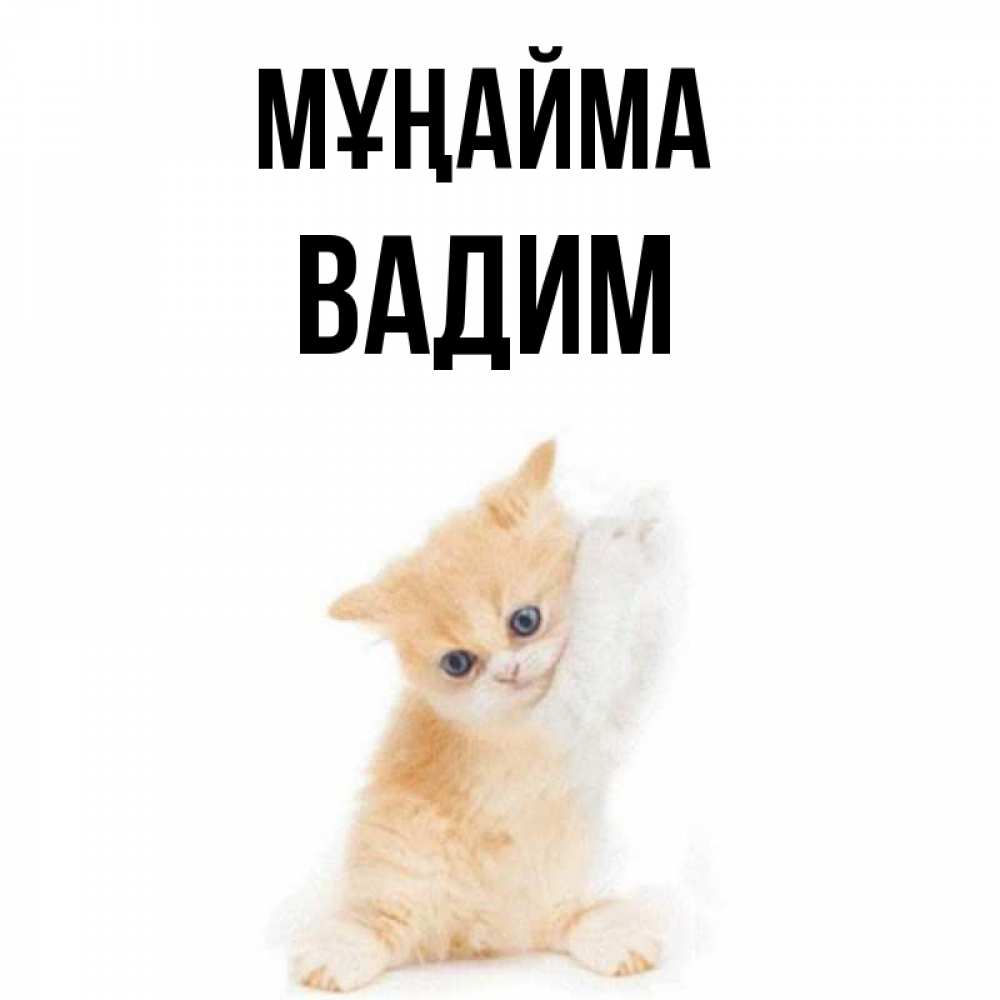 Күн сайын ашық хат с именем, Вадим Мұңайма просящий кот Онлайн тегін жүктеп алу тілектері бар керемет карта 