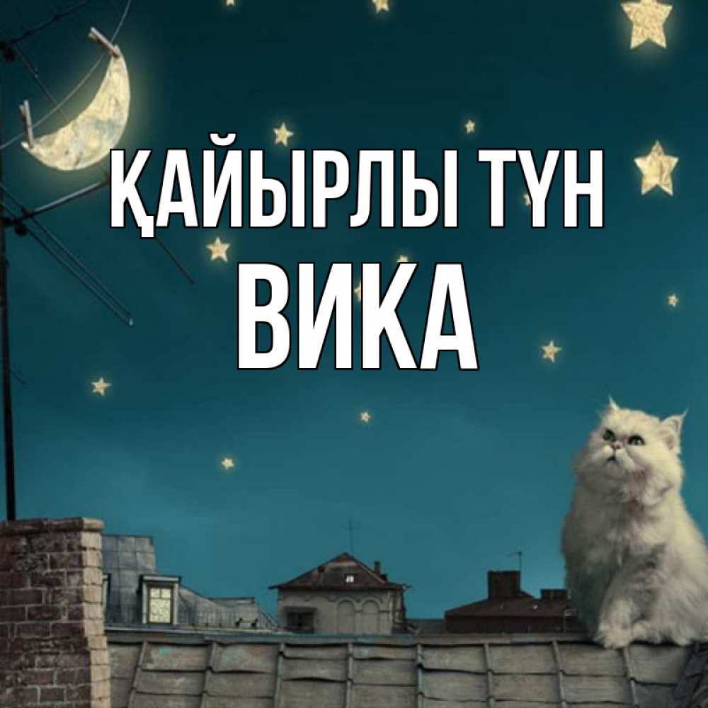 Күн сайын ашық хат с именем, Вика Қайырлы түн белый кот сидит на крыше Онлайн тегін жүктеп алу тілектері бар керемет карта 