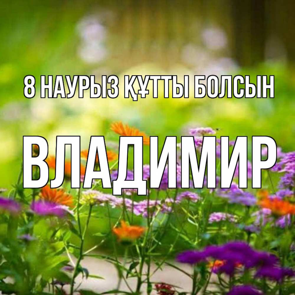 Күн сайын ашық хат с именем, Владимир 8 наурыз құтты болсын цветы Онлайн тегін жүктеп алу тілектері бар керемет карта 