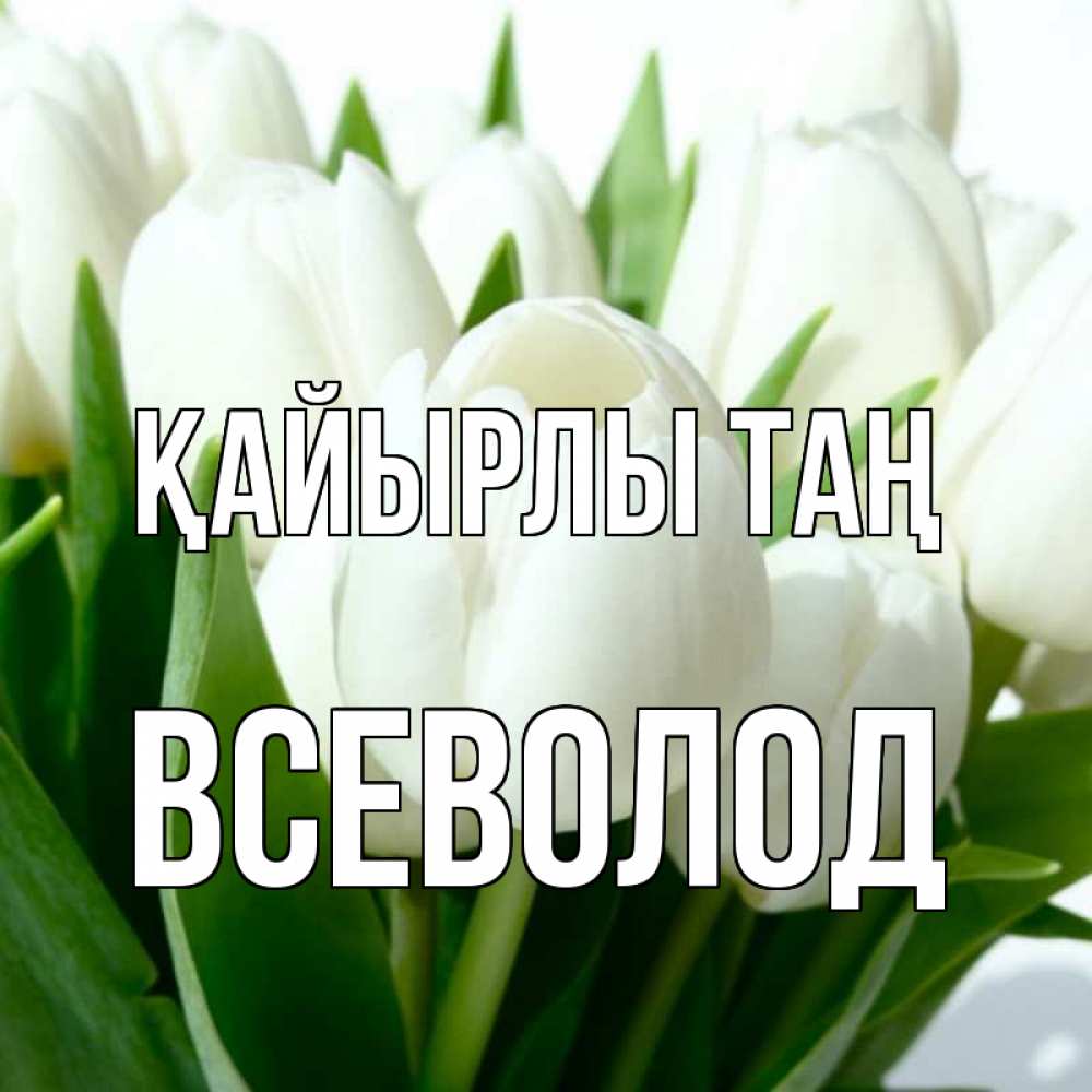 Күн сайын ашық хат с именем, Всеволод Қайырлы таң открытки на каждый день по именам Онлайн тегін жүктеп алу тілектері бар керемет карта 