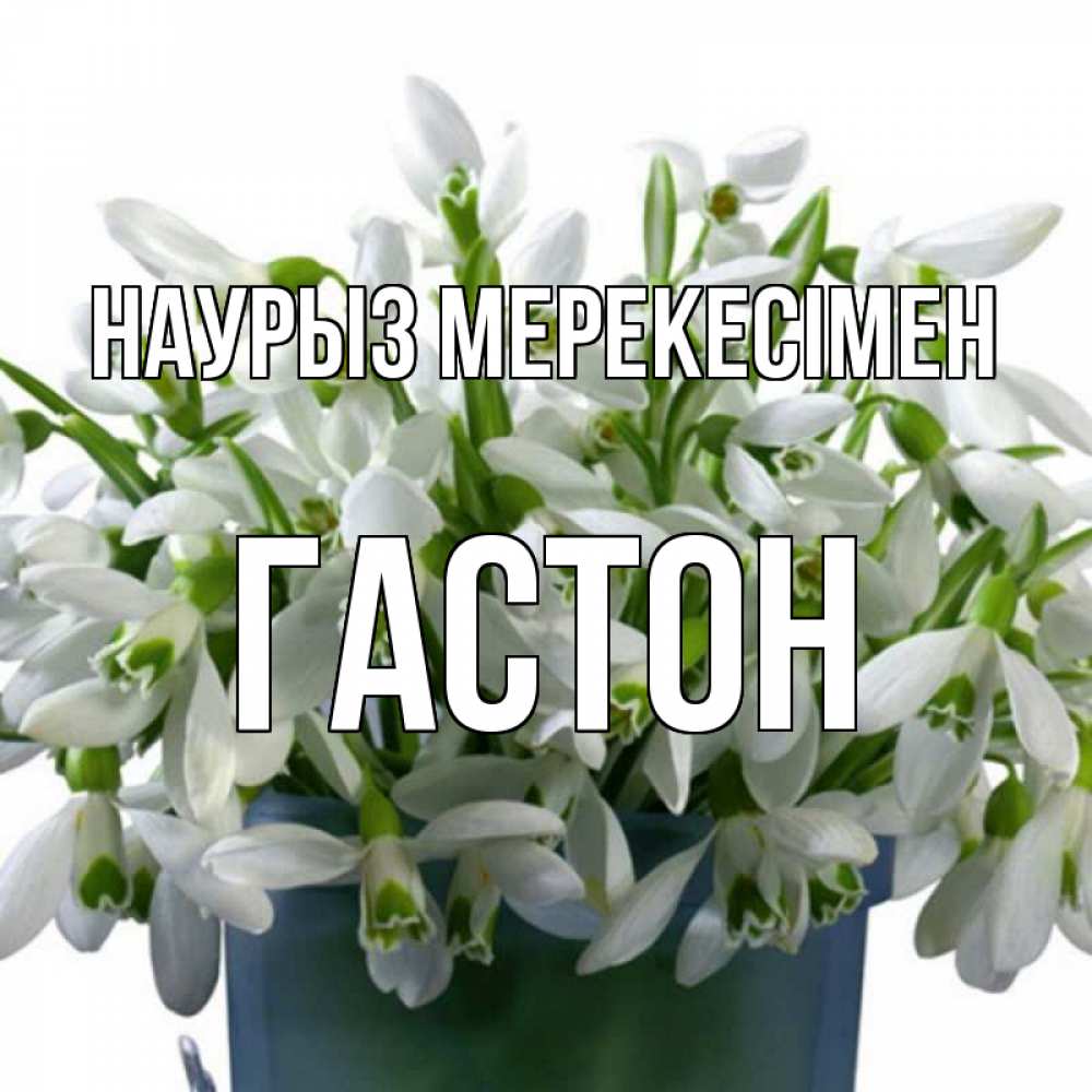 Күн сайын ашық хат с именем, Гастон Наурыз мерекесімен цветы к наурызу новый год в Казахстане Онлайн тегін жүктеп алу тілектері бар керемет карта 