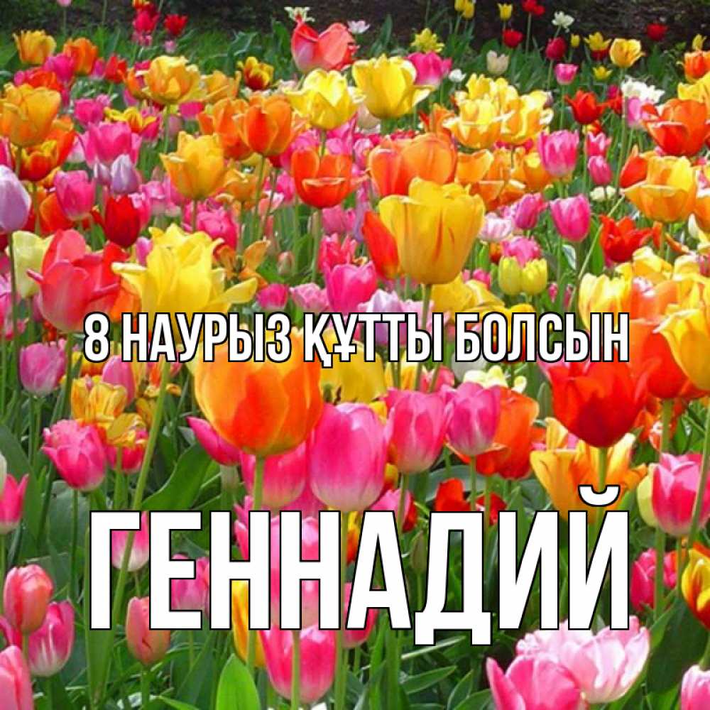 Күн сайын ашық хат с именем, Геннадий 8 наурыз құтты болсын на международный женский день Онлайн тегін жүктеп алу тілектері бар керемет карта 
