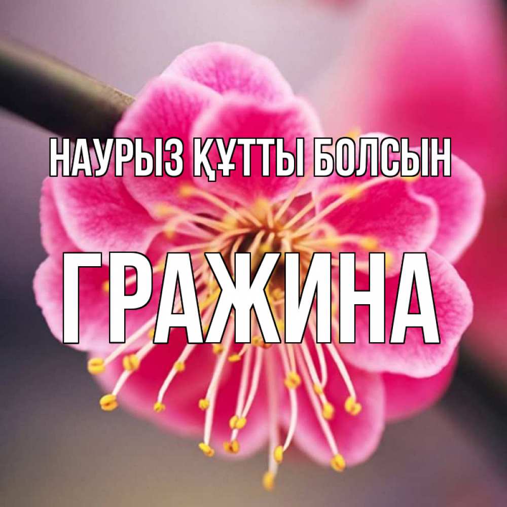 Күн сайын ашық хат с именем, Гражина Наурыз құтты болсын цветы Онлайн тегін жүктеп алу тілектері бар керемет карта 