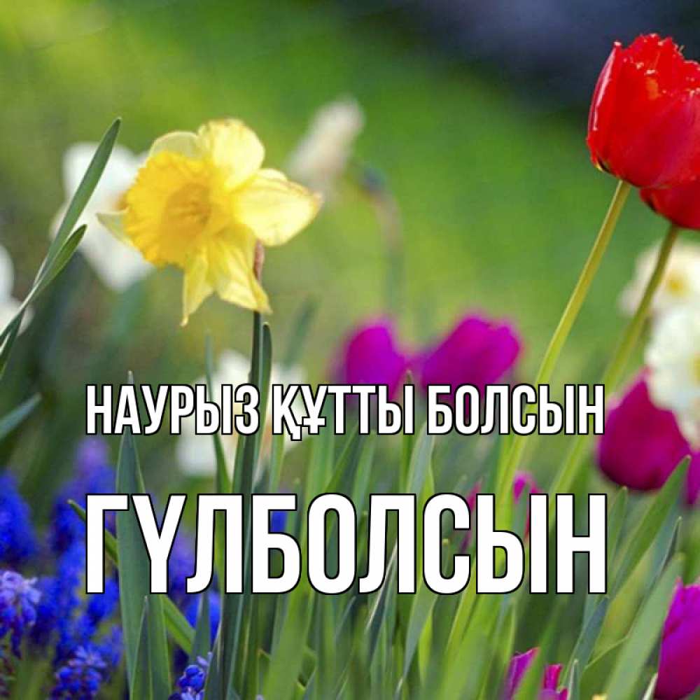 Күн сайын ашық хат с именем, ГҮЛБОЛСЫН Наурыз құтты болсын наурыз  3 открытки Онлайн тегін жүктеп алу тілектері бар керемет карта 