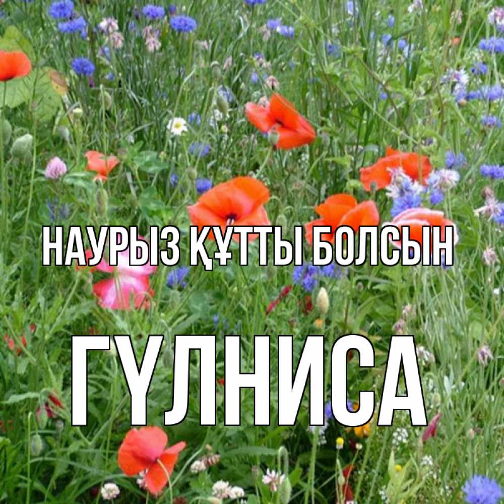 Күн сайын ашық хат с именем, ГҮЛНИСА Наурыз құтты болсын наурыз  4 Онлайн тегін жүктеп алу тілектері бар керемет карта 