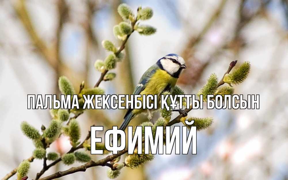 Күн сайын ашық хат с именем, Ефимий Пальма жексенбісі құтты болсын верба Онлайн тегін жүктеп алу тілектері бар керемет карта 
