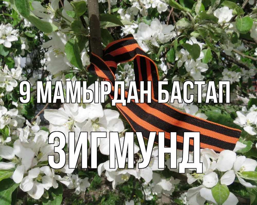 Күн сайын ашық хат с именем, Зигмунд 9 мамырдан бастап 9 мая Онлайн тегін жүктеп алу тілектері бар керемет карта 