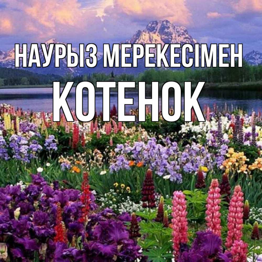 Күн сайын ашық хат с именем, Котенок Наурыз мерекесімен праздник весны наурыз Онлайн тегін жүктеп алу тілектері бар керемет карта 