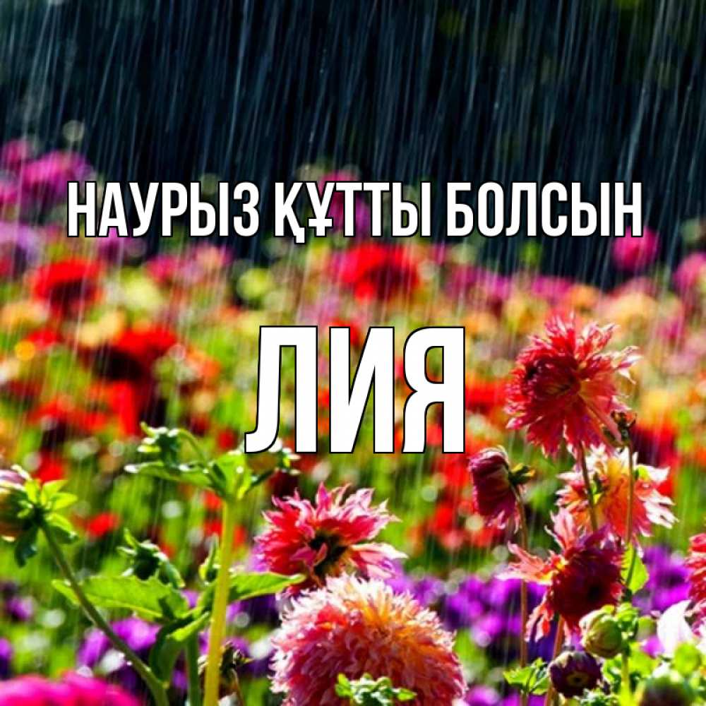 Күн сайын ашық хат с именем, Лия Наурыз құтты болсын цветы под дождиком к наурызу Онлайн тегін жүктеп алу тілектері бар керемет карта 