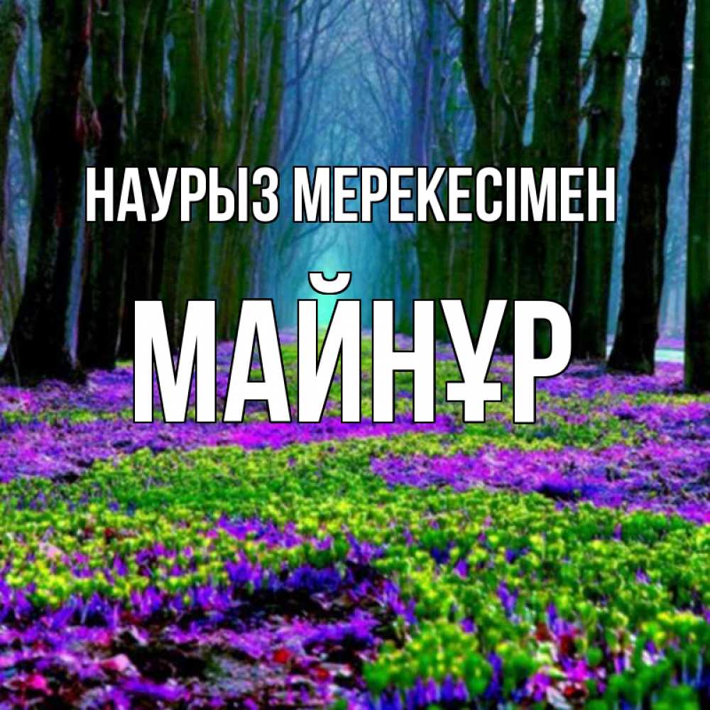 Күн сайын ашық хат с именем, МАЙНҰР Наурыз мерекесімен фиолетовые цветы в лесу 1 Онлайн тегін жүктеп алу тілектері бар керемет карта 