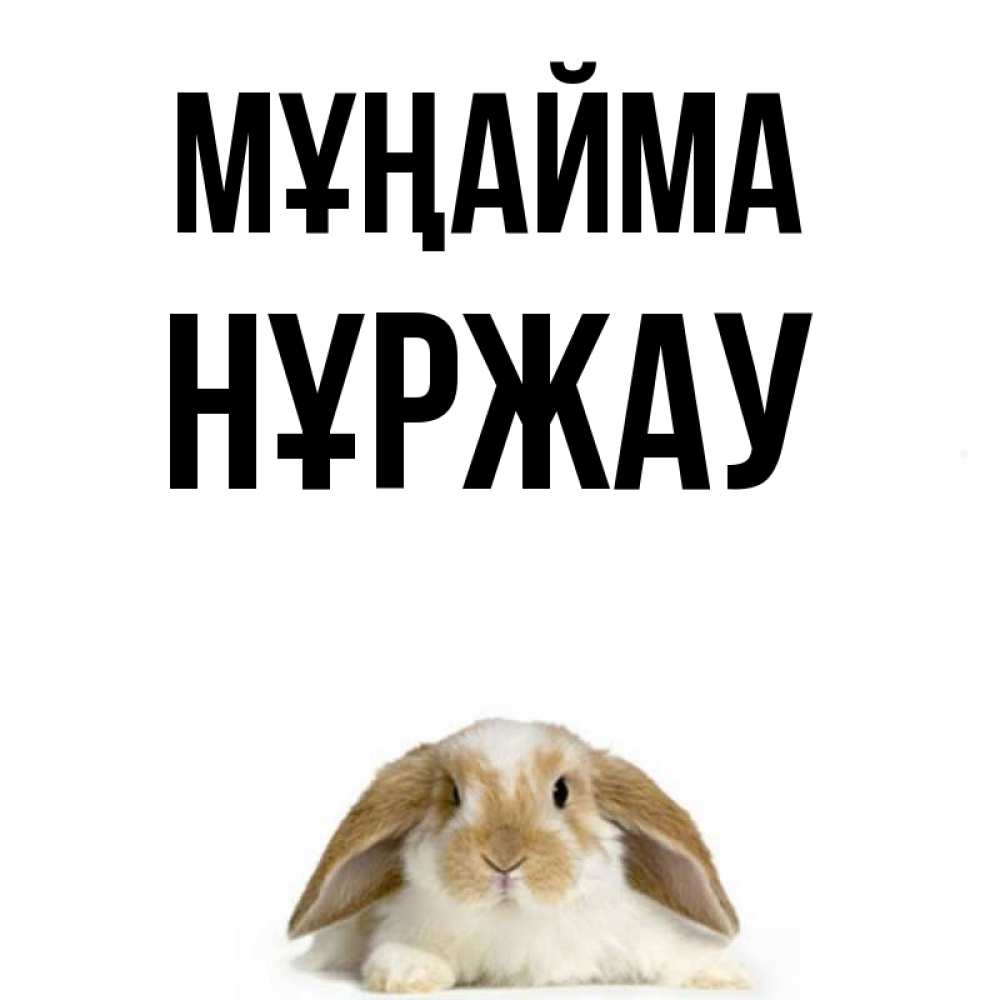 Күн сайын ашық хат с именем, НҰРЖАУ Мұңайма коричнево белый заяц с большими ушками Онлайн тегін жүктеп алу тілектері бар керемет карта 