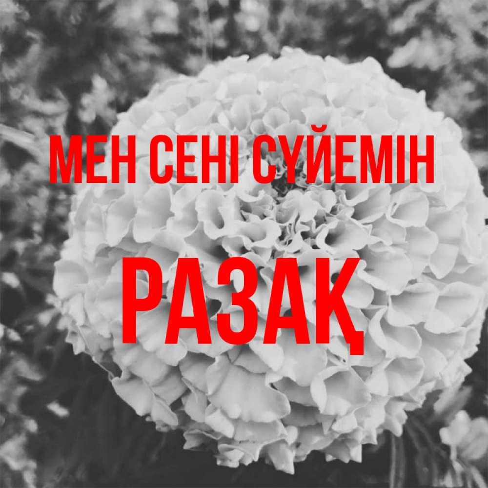 Күн сайын ашық хат с именем, РАЗАҚ Мен сені сүйемін подпись Онлайн тегін жүктеп алу тілектері бар керемет карта 