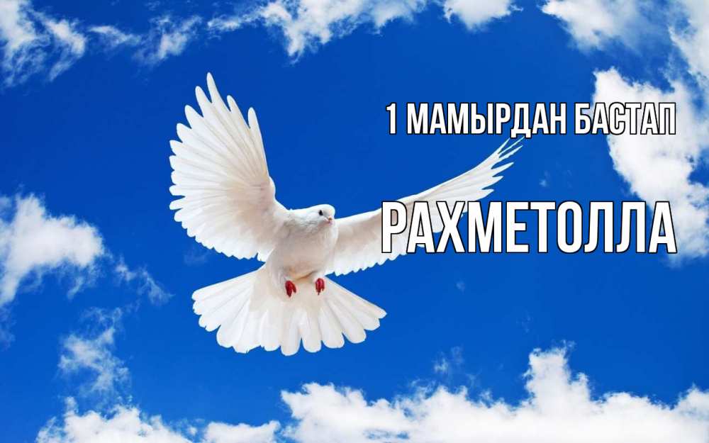 Күн сайын ашық хат с именем, РАХМЕТОЛЛА 1 мамырдан бастап С 1 мая 1 Онлайн тегін жүктеп алу тілектері бар керемет карта 