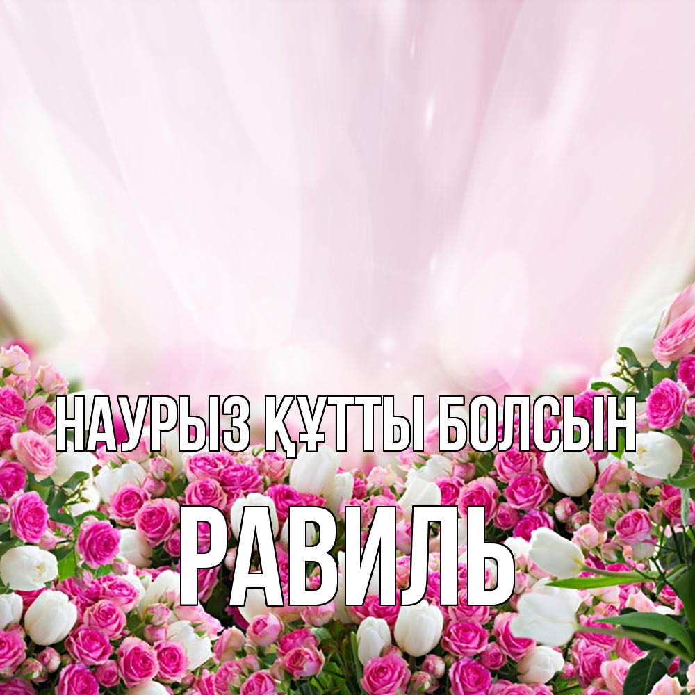 Күн сайын ашық хат с именем, Равиль Наурыз құтты болсын под снегом Онлайн тегін жүктеп алу тілектері бар керемет карта 
