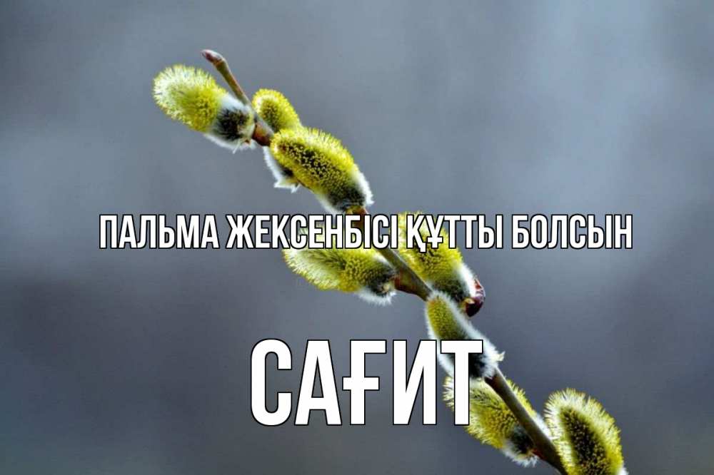 Күн сайын ашық хат с именем, САҒИТ Пальма жексенбісі құтты болсын верба Онлайн тегін жүктеп алу тілектері бар керемет карта 