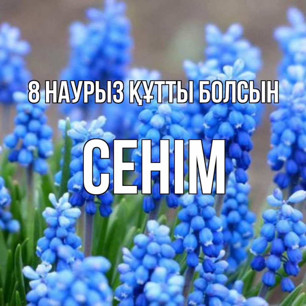 Күн сайын ашық хат с именем, СЕНІМ 8 наурыз құтты болсын Поздравительная открытка для женщин с цветами на праздничную дату Онлайн тегін жүктеп алу тілектері бар керемет карта 