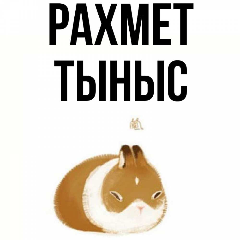 Күн сайын ашық хат с именем, ТЫНЫС рахмет коричнево белый домашний питомец Онлайн тегін жүктеп алу тілектері бар керемет карта 
