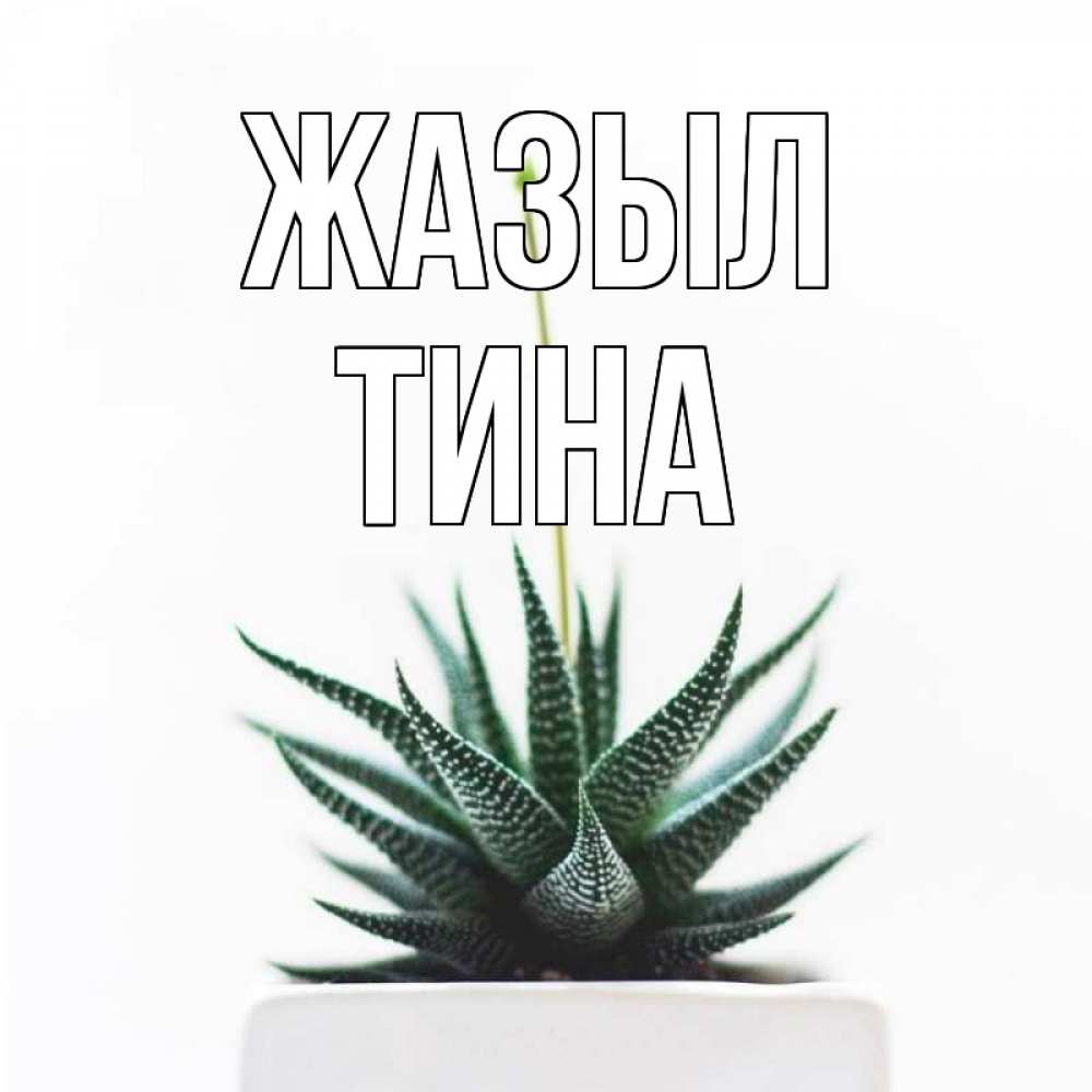 Күн сайын ашық хат с именем, Тина Жазыл короче это непонятная колючка Онлайн тегін жүктеп алу тілектері бар керемет карта 