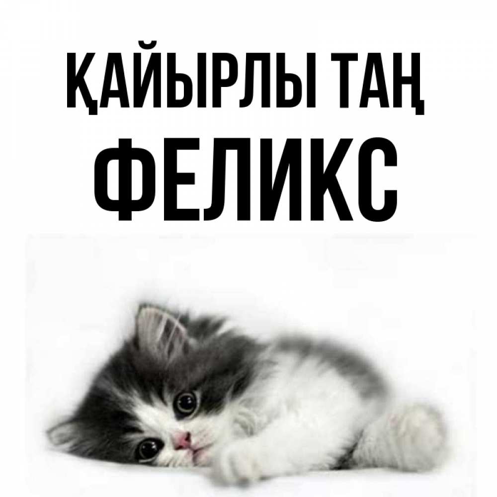 Күн сайын ашық хат с именем, Феликс Қайырлы таң кот лапки Онлайн тегін жүктеп алу тілектері бар керемет карта 