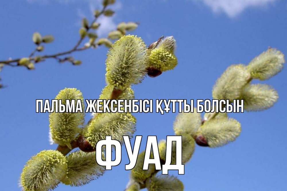 Күн сайын ашық хат с именем, Фуад Пальма жексенбісі құтты болсын верба Онлайн тегін жүктеп алу тілектері бар керемет карта 