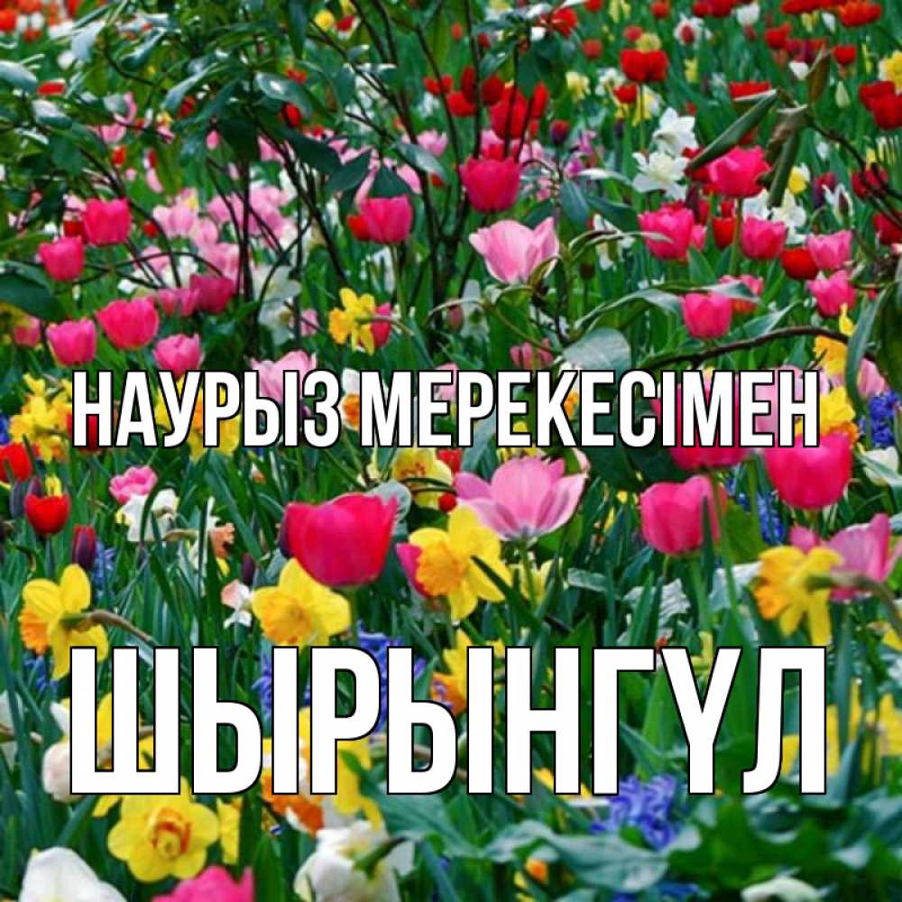 Күн сайын ашық хат с именем, ШЫРЫНГҮЛ Наурыз мерекесімен с наурызом праздником весны поздравления для женщины Онлайн тегін жүктеп алу тілектері бар керемет карта 