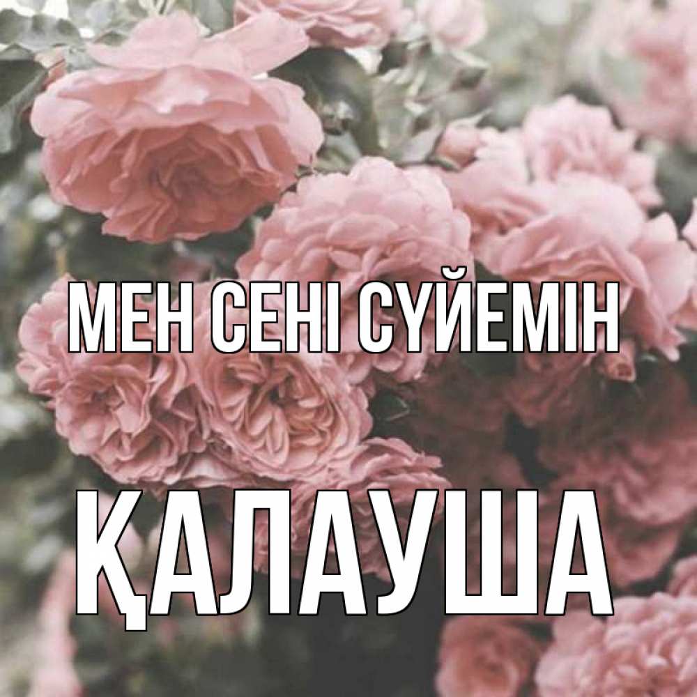 Күн сайын ашық хат с именем, Қалауша Мен сені сүйемін розы 3 Онлайн тегін жүктеп алу тілектері бар керемет карта 
