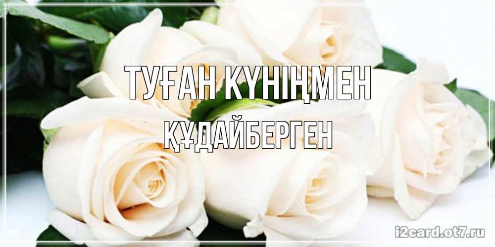 Күн сайын ашық хат с именем, ҚҰДАЙБЕРГЕН Туған күніңмен открытка с красивыми белыми розами для родных Онлайн тегін жүктеп алу тілектері бар керемет карта 