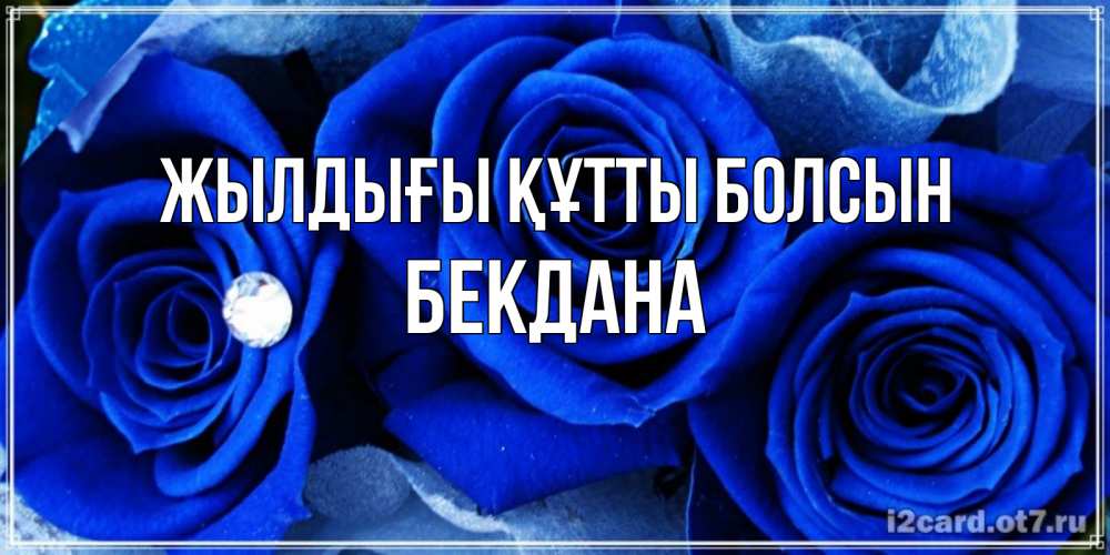 Күн сайын ашық хат с именем, БЕКДАНА Жылдығы құтты болсын синие розы в росе Онлайн тегін жүктеп алу тілектері бар керемет карта 