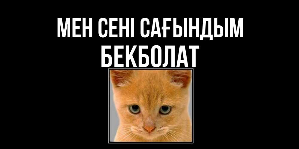 Күн сайын ашық хат с именем, Бекболат Мен сені сағындым открытки рыжий котенок скучает по тебе Онлайн тегін жүктеп алу тілектері бар керемет карта 