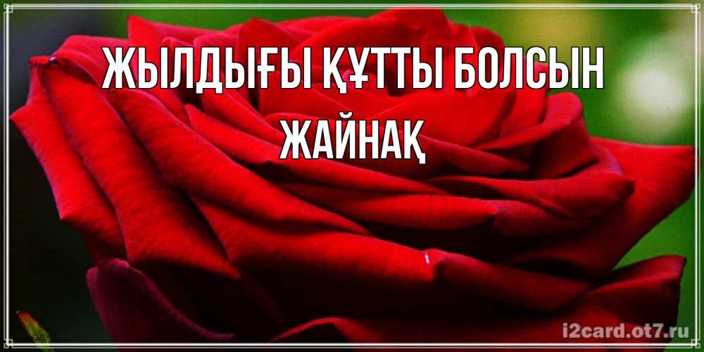 Күн сайын ашық хат с именем, Жайнақ Жылдығы құтты болсын розочка очень красивая Онлайн тегін жүктеп алу тілектері бар керемет карта 