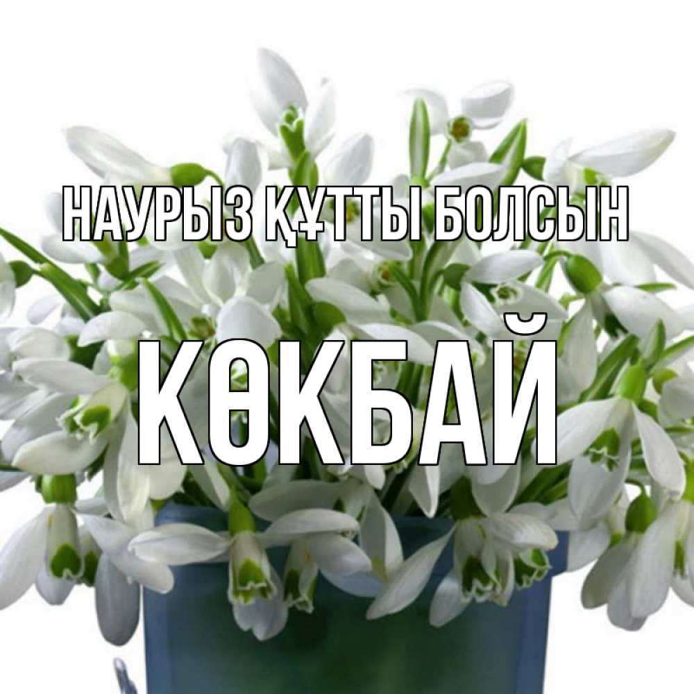Күн сайын ашық хат с именем, Көкбай Наурыз құтты болсын цветы к наурызу Онлайн тегін жүктеп алу тілектері бар керемет карта 