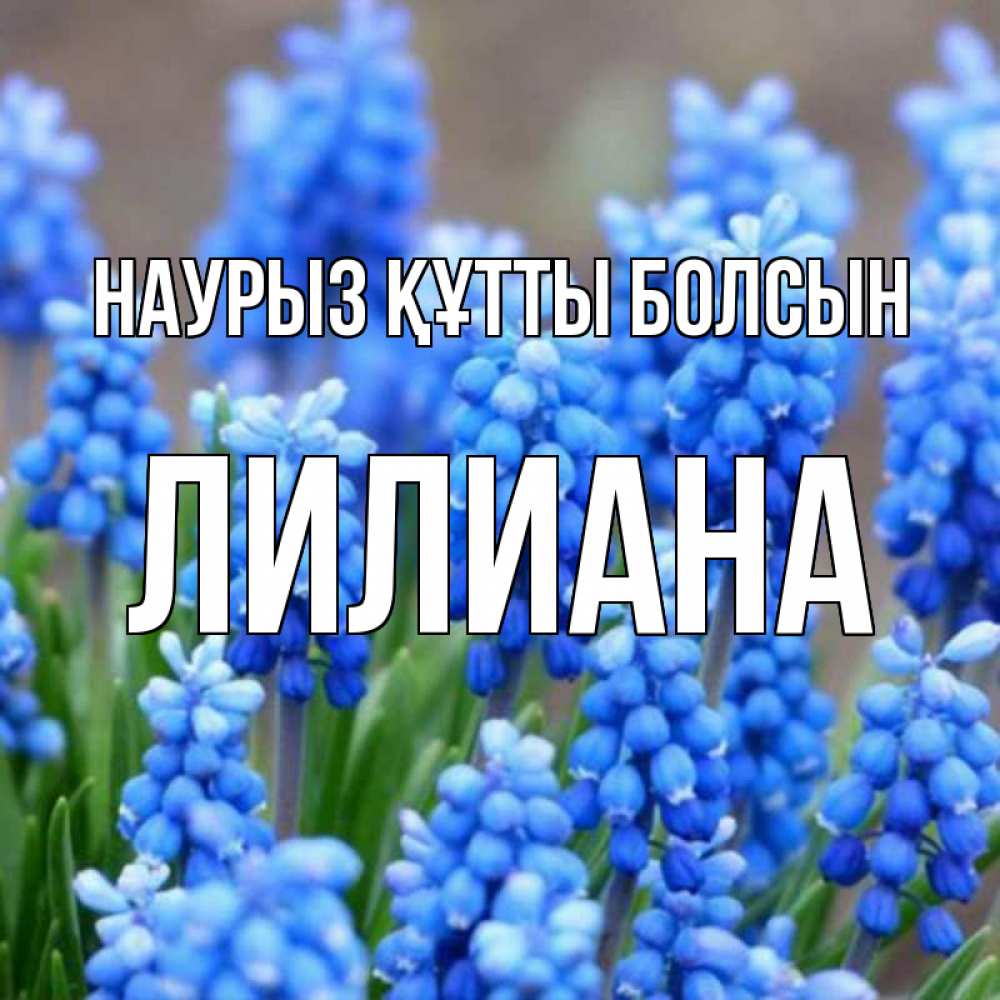 Күн сайын ашық хат с именем, Лилиана Наурыз құтты болсын Поздравительная открытка для женщин с цветами на праздничную дату Онлайн тегін жүктеп алу тілектері бар керемет карта 
