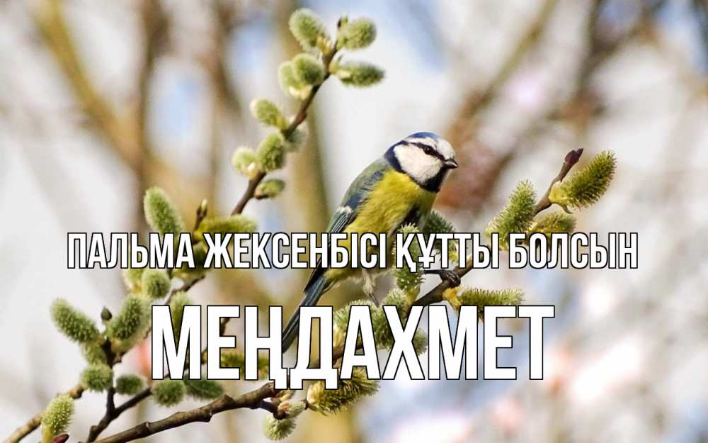 Күн сайын ашық хат с именем, МЕҢДАХМЕТ Пальма жексенбісі құтты болсын верба Онлайн тегін жүктеп алу тілектері бар керемет карта 