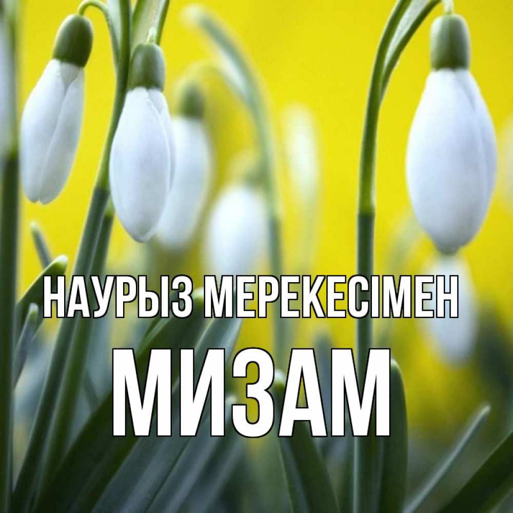 Күн сайын ашық хат с именем, МИЗАМ Наурыз мерекесімен весенние цветы Онлайн тегін жүктеп алу тілектері бар керемет карта 