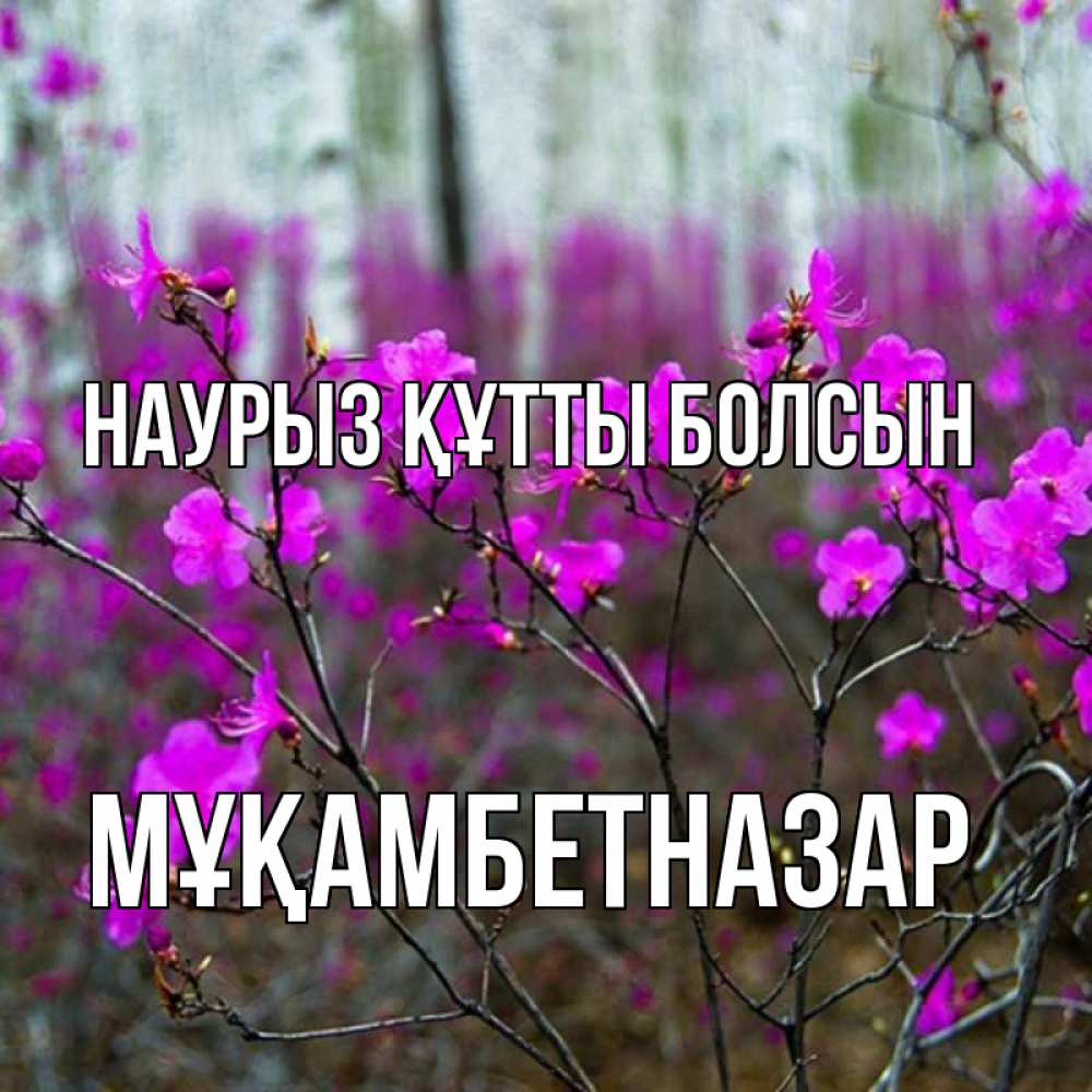Күн сайын ашық хат с именем, Мұқамбетназар Наурыз құтты болсын дикие цветы Онлайн тегін жүктеп алу тілектері бар керемет карта 
