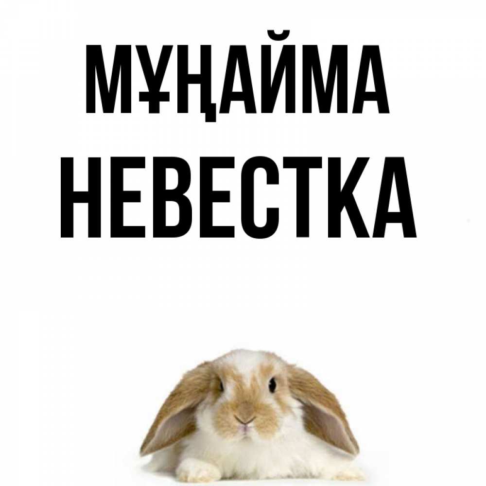 Күн сайын ашық хат с именем, Невестка Мұңайма коричнево белый заяц с большими ушками Онлайн тегін жүктеп алу тілектері бар керемет карта 