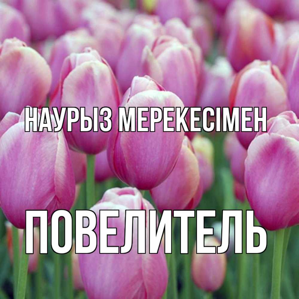 Күн сайын ашық хат с именем, Повелитель Наурыз мерекесімен праздник весны наурыз 69 Онлайн тегін жүктеп алу тілектері бар керемет карта 