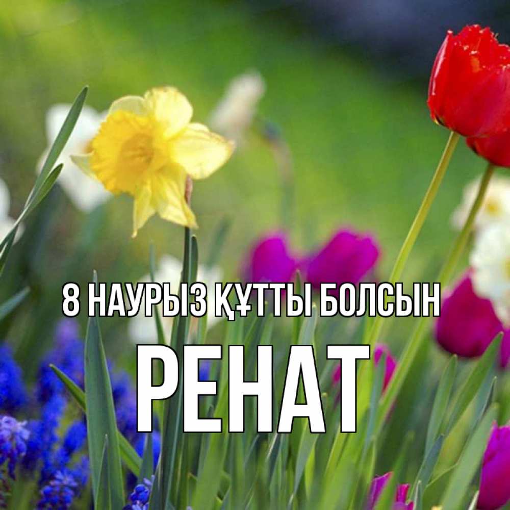 Күн сайын ашық хат с именем, РЕНАТ 8 наурыз құтты болсын международный женский день 3 Онлайн тегін жүктеп алу тілектері бар керемет карта 